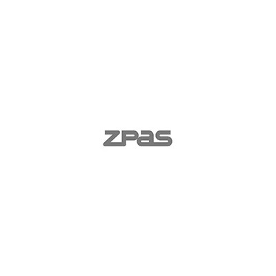 Zpas WZ-002C-12-75-011 (ST)