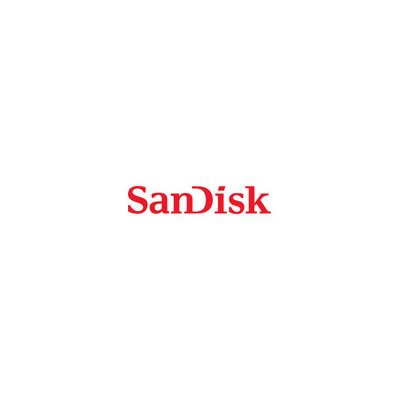 Адаптер SanDisk SDADP-01