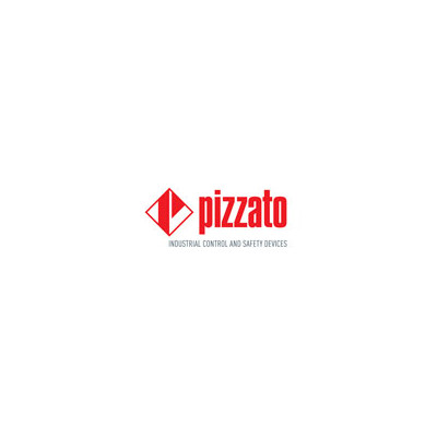 Pizzato elettrica FD519