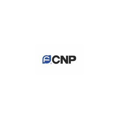 Cnp 100015273