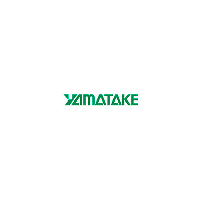 Yamatake AVP302-CSD4B-1DYW-K