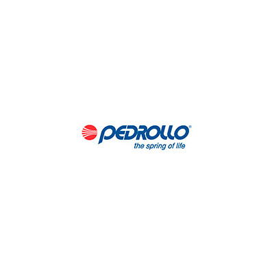 Pedrollo 41PM9317A1